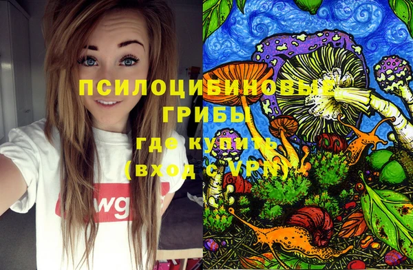 мет Кулебаки
