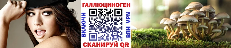 Купить  Назарово  Галлюциногенные грибы Magic Shrooms 